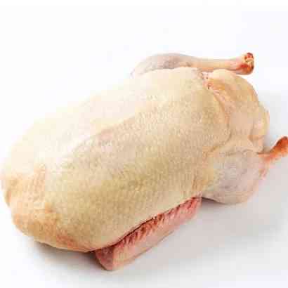 Whole Swan Meat (After Clean)